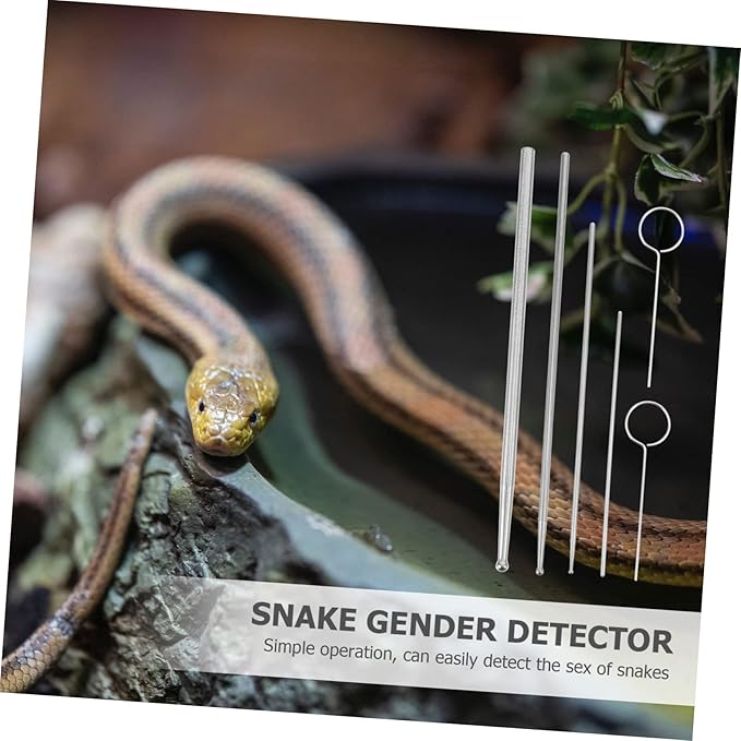 6PCS Stainless Steel Snake Probe Set Reptile Gender Detection Tools for Corn Snakes Kingsnakes and Other Reptiles Sturdy and Easy-to-Use Gender Probes