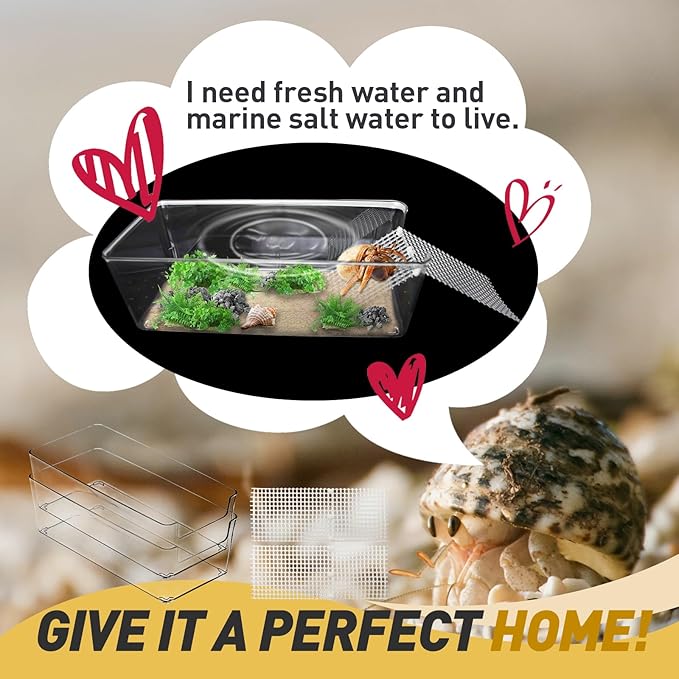 2 Packs Large Hermit Crab Pool - Ideal Hermit Crab Tank Combination - Pool with Cuttable Climbing Ramp