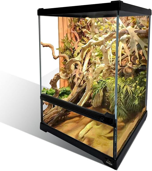 Reptile Glass Terrarium Tank 10 * 10 * 14in, Full View with Front Opening Door,Amphibians Enclosure Habitat Cage for Crested Gecko,Spider,Tarantula,Lizard,Hermit Crab,Frog,Mantises,Insects