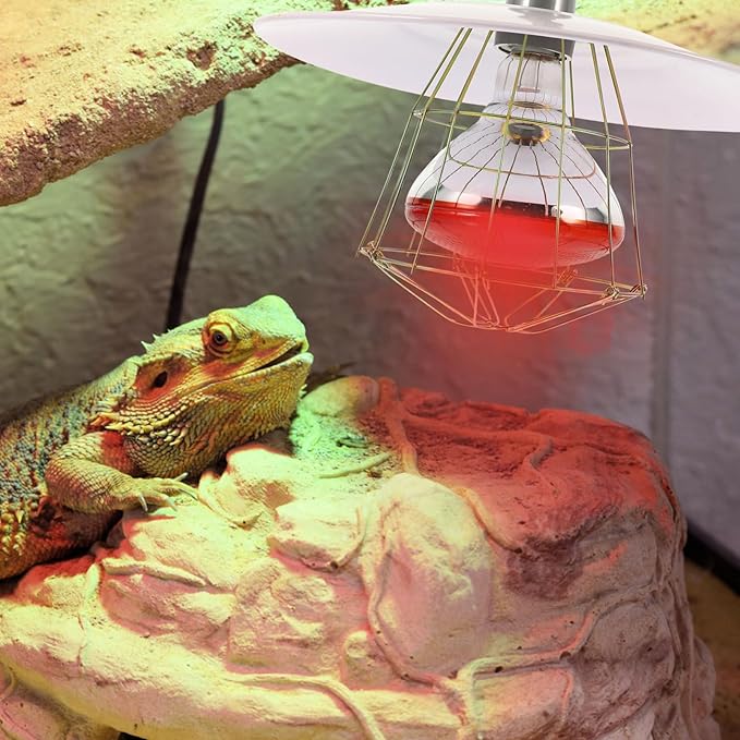 Totority 1pc Livestock Warming Lamp Kit High-Temperature Source for Reptiles and Livestock for Chickens Pigs and More Random Red