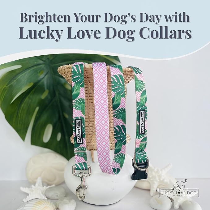 Lucky Love Dog - Adjustable Dog Collar with Easy Click Buckle for Large Ones, Durable, & Comfortable for Male & Female Dogs, Pet Collar for Puppies & Adult Dogs - Laguna, Large