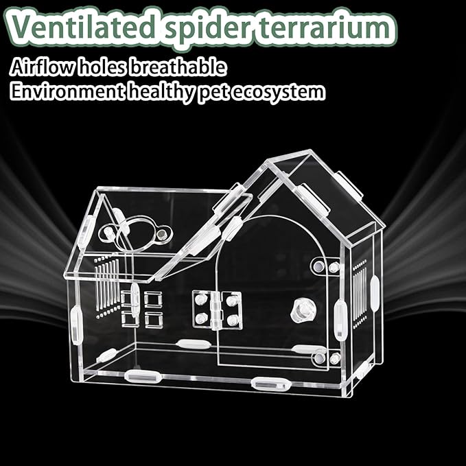 Acrylic Jumping Spider Enclosure with Magnetic Door - Transparent Tarantula Terrarium for Pet Spiders - Secure & Ventilated Reptile Habitat for Hermit Crabs, Geckos, and Small Insects