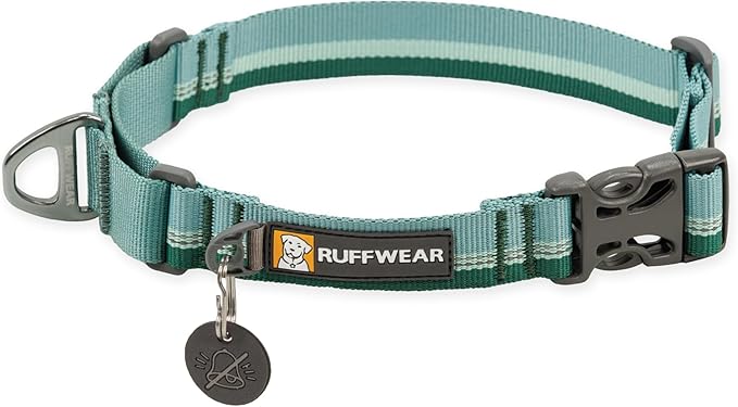 Ruffwear, Web Reaction Dog Collar, Escape-Proof Security Buckle, Adjustable Anti-Slip Martingale Collar with Durable Nylon Tubelok Webbing & Silent ID Attachment, River Rock Green, 23"-26"