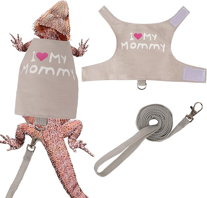 ADOGGYGO Mothers Day Bearded Dragon Harness Leash Set, Lizard Clothe Costume Adjustable Reptile Harness with 5ft Leash for Bearded Dragon Lizard Walking Outdoor (Mother's Day, Small)