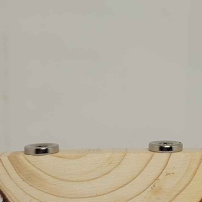 1 pc. Magnetic Arboreal Ledge | Jumping Spider Ledge | The Critters Cave (Stronger But Longer: Larger External Magnets)