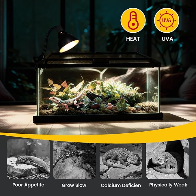 75W Reptile Heat Lamp Bulbs 2-Pack — UVA Daylight & Infrared Night Combo, Efficient Basking Light for Bearded Dragon, Lizard, Turtle, Chicken, E26 Base