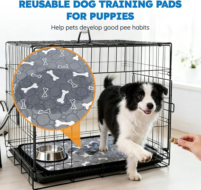 Washable Pee Pads for Dogs, Absorbent Reusable Puppy Training Pads, Leakproof, Non-Slip, Waterproof Cat Doggie Pad Pet Potty Mat for Indoor&Outdoor, Whelping, Playpen, Crate, Gray 28"x40"
