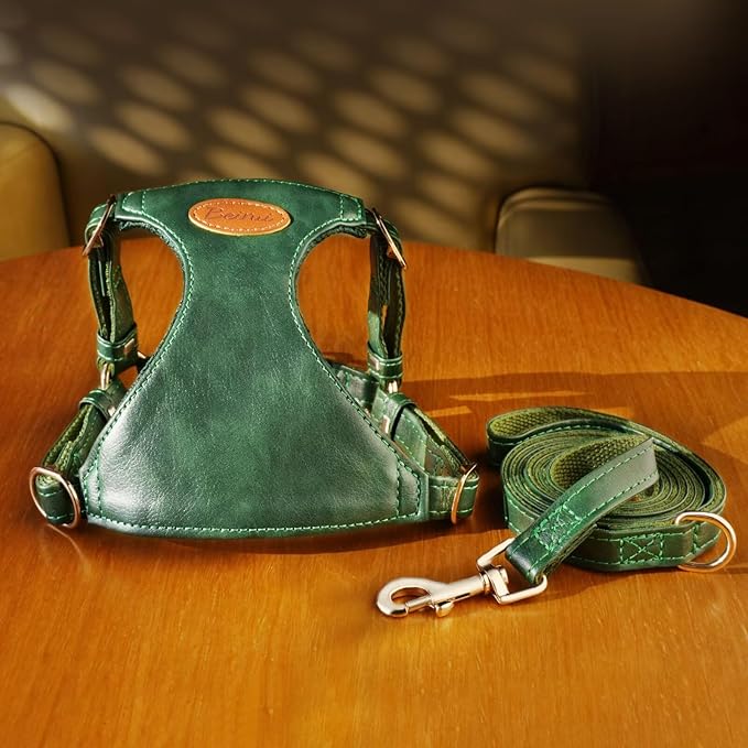 Beirui ‌Stylish PU Leather Dog Harness‌ and Leash Set for Small Dogs, ‌Adjustable Step in Dog Vest Harness with Breathable Mesh Lining and Durable Metal Buckle for Walking Traveling(Green,S)