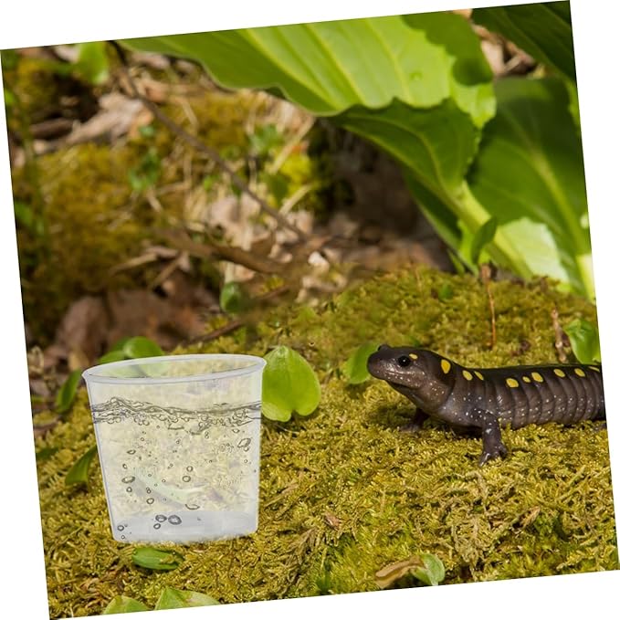 Yardwe 30pcs 20ml Reptile Feeding Cups Set Washable and Reusable Measurement Cups for Lizards Stylish Storage for Food and Water