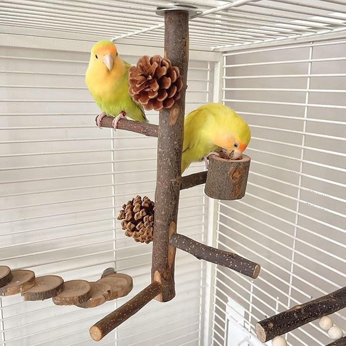 2PCS Parrot Perch Birdcage Accessories Stand Screw Wood Bird Toy Bird Activity Set