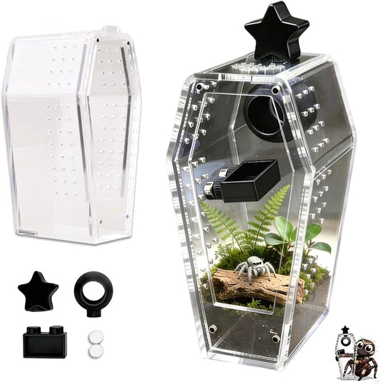 Jumping Spider Enclosure Jumping Spider Enclosure Kit Desktop Habitat Small Reptile Glass Terrarium Insect Accessory Set with Water Container Hiding Area(Black)