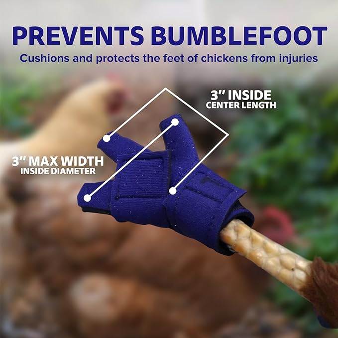 Chicken Shoes for Injured Feet – Protective Neoprene Footwear for Chicken, Open-Toe Design for Bumblefoot Relief, Made in USA - Large, 4" Max. Inside Width, Royal Blue