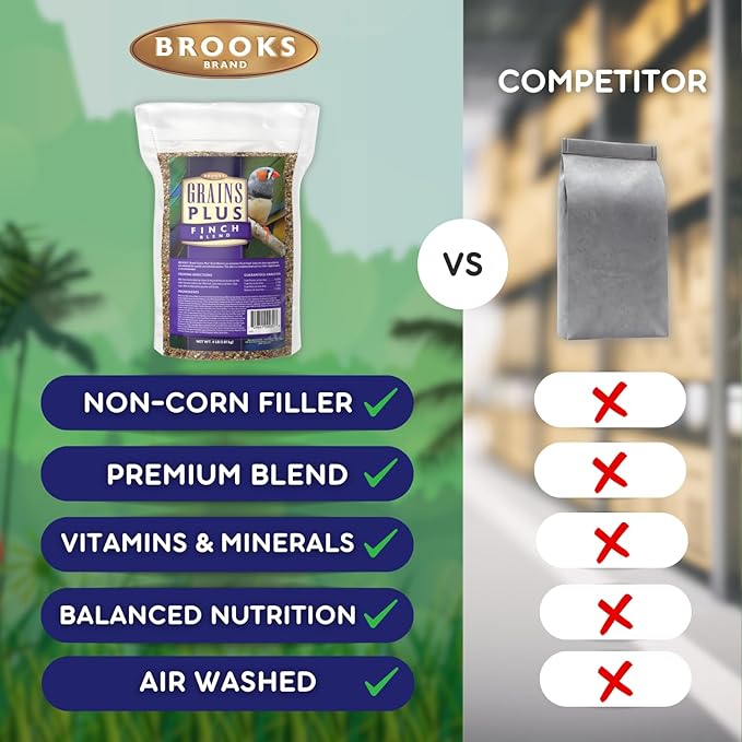 Grains Plus Finch Blend Bird Food, Nyjer Seeds, Finches Bird Seed Mix, Gold Finch Niger Seeds for Birds, Finches Food for Indoor Birds (4 lbs)