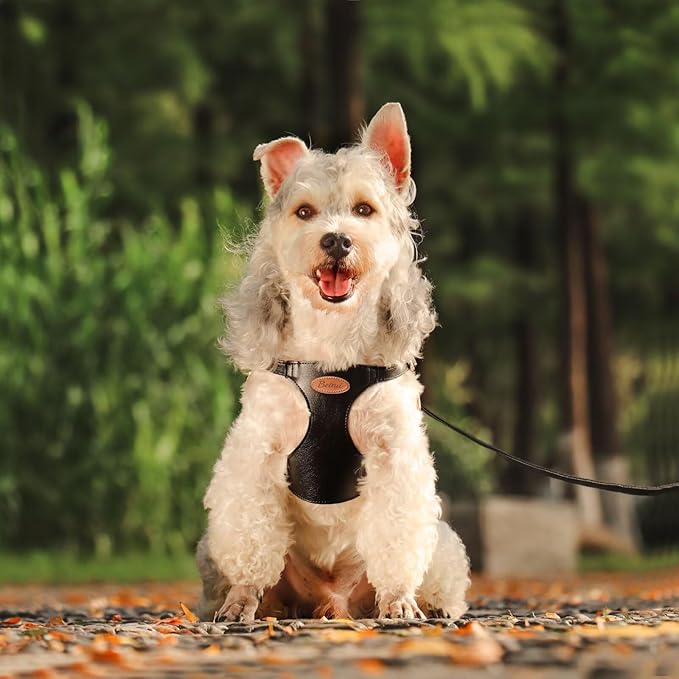 Beirui ‌Stylish PU Leather Dog Harness‌ and Leash Set for Small Dogs, ‌Adjustable Step in Dog Vest Harness with Breathable Mesh Lining and Durable Metal Buckle for Walking Traveling(Black,S)