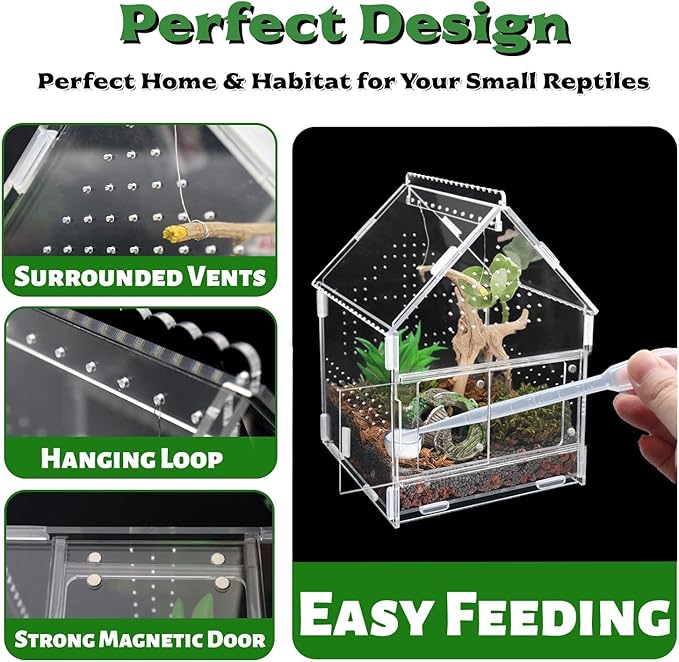 Acrylic Jumping Spider Enclosure with Magnetic Front Door - 360° View Reptile Terrarium for Tarantulas, Insects Hermit Crab - Includes Hanging Beam & Escape-Proof Ventilation (7.87x5.9x5.9 Inch)