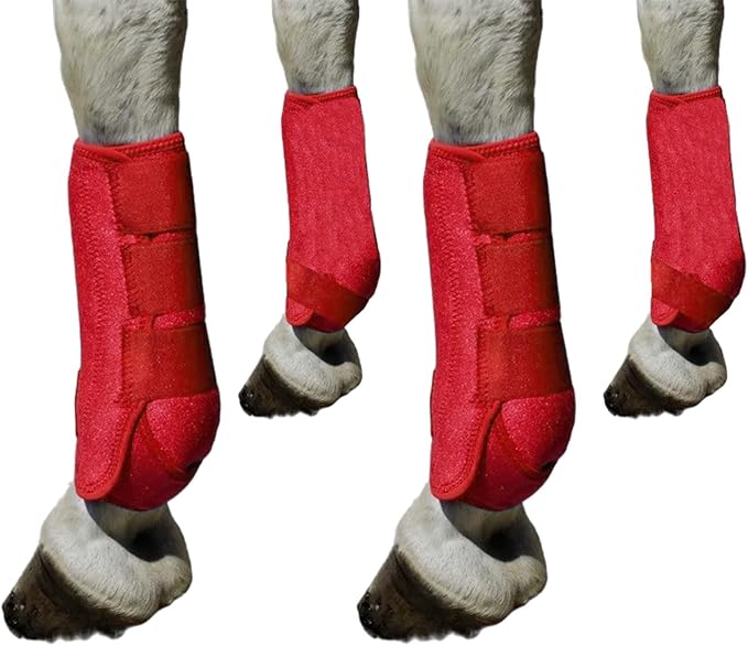 Generic 4Pcs Horse Boots Leg Protectors Adjustable Comfortable Neoprene Reusable Breathable Horse Protectors Equipment Set, red, L