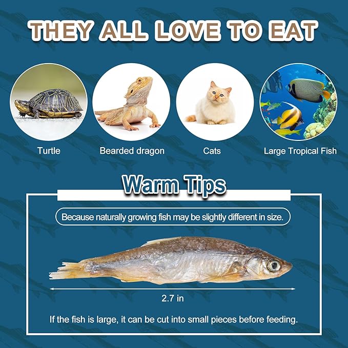 Dried River Fish Minnows - High Protein Natural Food for Turtles, Bearded Dragons, Tropical Fish, Amphibians & Cats (5.5oz)