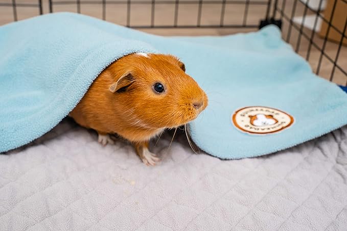 GuineaDad Original Reusable Cage Liner – Blue Fleece Bedding with Burrowing Pocket – Extra Absorbent Bamboo Core & Waterproof Bottom – Fits 2x3 C&C Guinea Pig Cages – Small Pet Supplies
