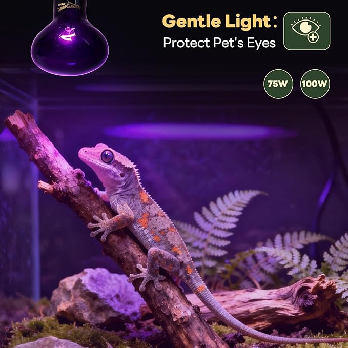 Reptile Heat Lamp, 2 Pack 75W Heat Lamp Bulbs Reptile Night Heat Bulb Basking Light for Bearded Dragon Chameleon Turtle Snake Gecko Lizard Chicken Tank Accessories, Purple