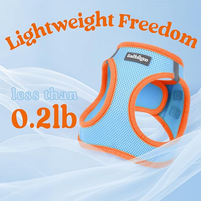 rabbitgoo Dog Harness Small Sized and Leash Set, Step-in Breathable Pet Harness, Soft Walking Reflective Puppy Vest for Small Dogs, Light Blue & Orange, L