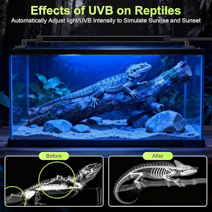 16W LED UVB Light for Reptiles Terrarium Light Extendable Reptile Tank Light with Controller ＆Dimming and 5 UVI Modes Full Spectrum Brilliant White Blue Red Lights for Bearded Dragon, Gecko