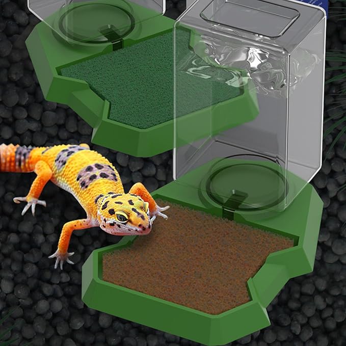 Reptiles Water Bowl with Clear Bottle Automatic Water Dispenser Drowning for Lizards Turtles Bearded Dragons Reptiles Water Feeder