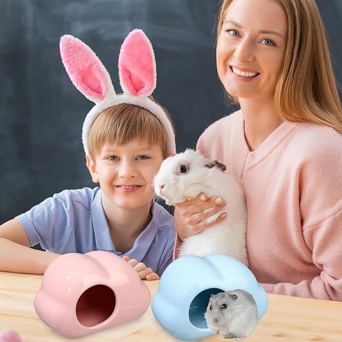 Mipcase Hamster House Ceramic Hamster Hideout, 2Pcs House Summer Cooling Hideaway Cloud Shape Small Animal Beds for Chinchilla Guinea Pig Summer Nest