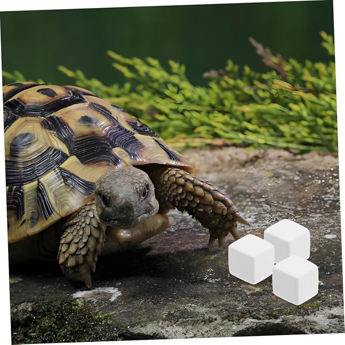 Toyvian 12pcs Reptile Enclosure Habitat Blocks Pet Mineral Block for Lizard Cat and Crab Care