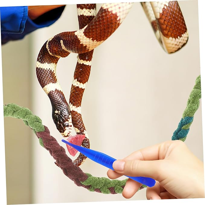 BESPORTBLE 6pcs Plastic Reptile Feeding Tweezers Lizard Spider Gecko and Scorpion Food Clips Practical Tools for Reptile Owners Suitable for Feeding Tortoises and Frogs