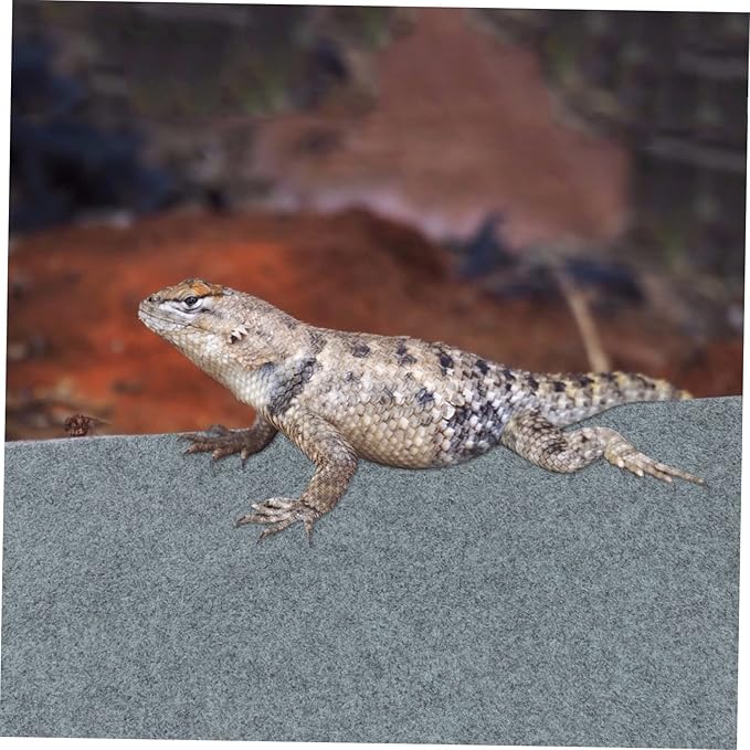 VICASKY Beard Dragon Lizard Reptile Terrarium Mat Pet Bedding Substrate Liner Carpet for Tortoises Snakes Lizards and Climbing Pets