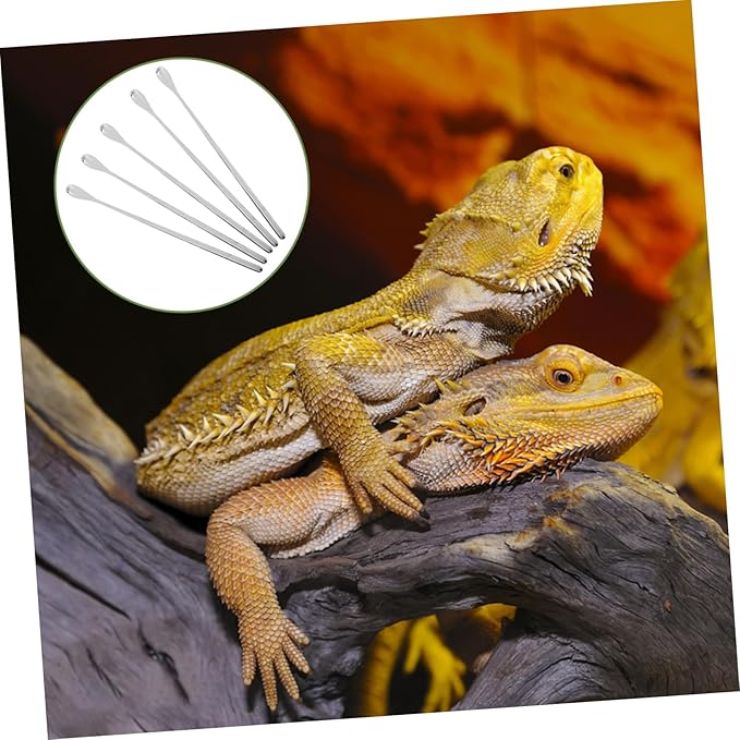 5pcs Portable Lizard Food Spoons Long Handle Feeding Tool for Small Animals Durable Material Effortless Control for Balanced Nutrition Reptile Tanks