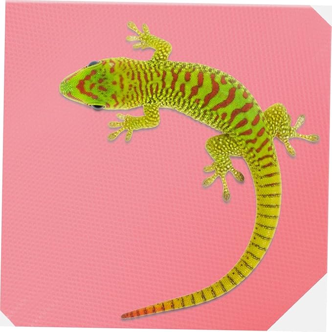 High-Density Soft Reptile Carpet Substrate Mat for Leopard Gecko and Tortoise Terrariums Easy-Cut and Wipe Bedding Accessory for Bearded Dragon Snake Lizard Habitat Pink