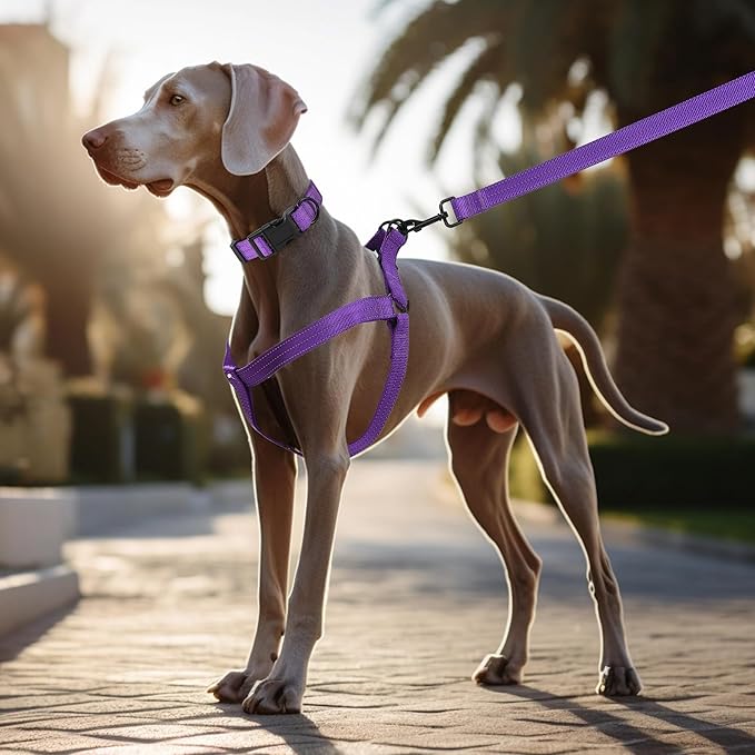 Mile High Life Night Reflective Double Adjustable Band Nylon Small Puppy Pet Dog Combo Collar Leash and Harness Set (Reflective Solid Purple, Large (Pack of 3))