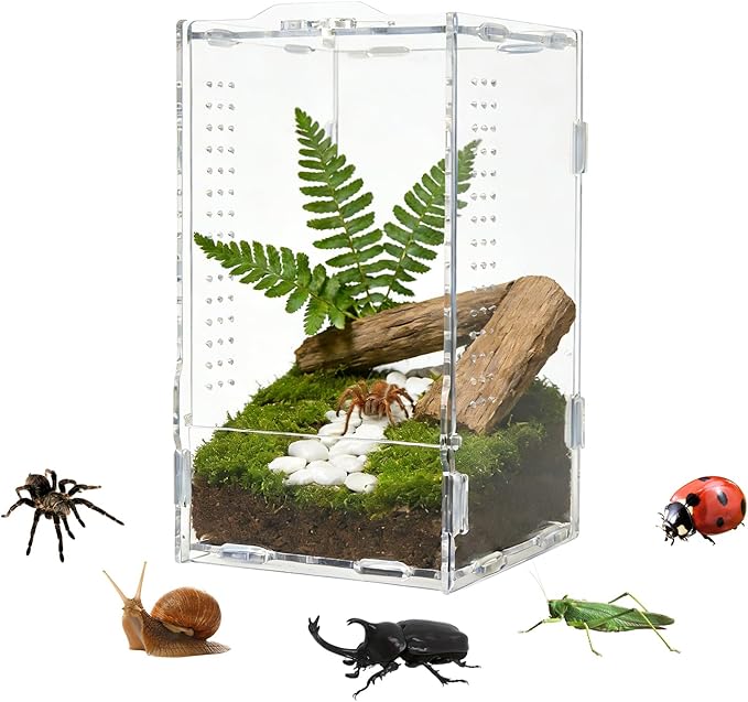 Transparent Jumping Spider Enclosure, Acrylic Reptile Terrarium Enclosure, Small Reptiles Habitat Tank Breeding Box for Tarantula Insect (Large)