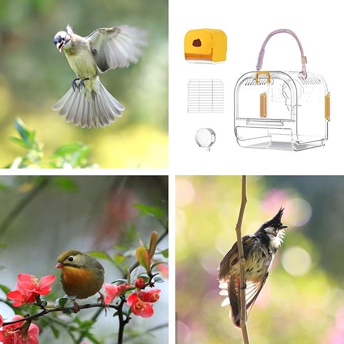 Small Bird Cage Travel Carrier Cage Foldable Bird Aviary Portable Flight Birdcage Budgie Cage with Food Box Parrot Cage Bird Carrier(Green)
