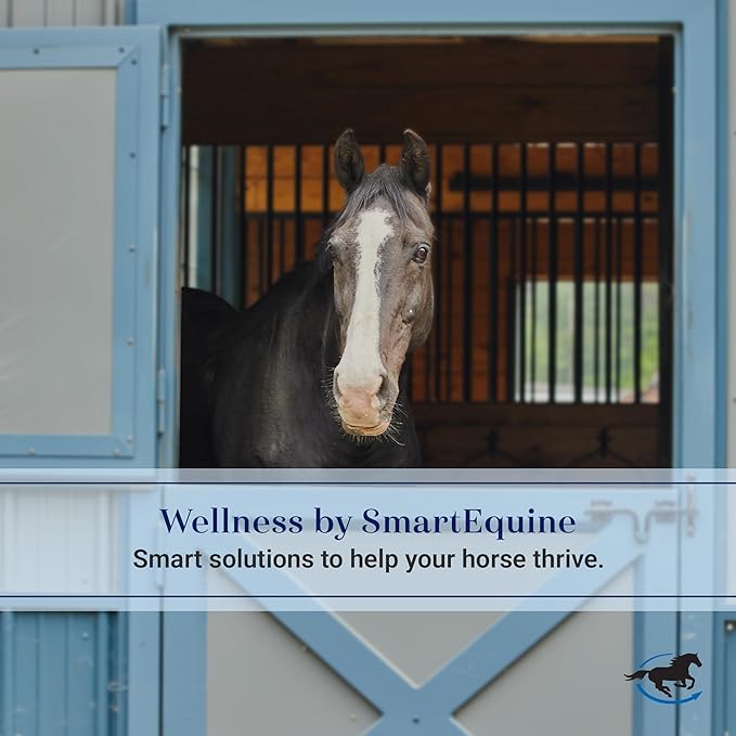 SmartEquine Neoprene Splint Boots for Horses | Premium Leg Protection and Support Boot for Equine Comfort | Durable, Flexible Horse Support Boots for Enhanced Performance and Safety (Medium (M))