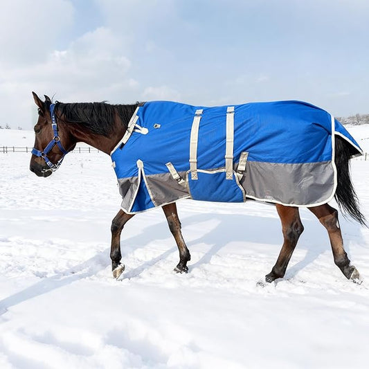 Winter Horse Blanket with Belly Band – Horse Blankets for Real Horses – Medium Weight Turnout Blanket - 1200D 260g – 72"