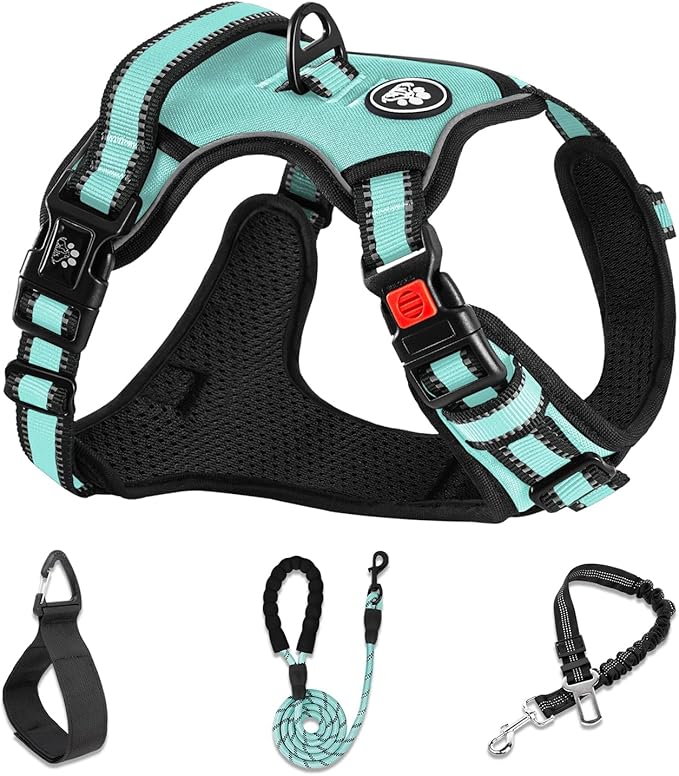 NESTROAD No Pull Dog Harness,Adjustable Oxford Dog Vest Harness with Leash,Reflective No-Choke Pet Harness with Easy Control Soft Handle for Medium Dogs(Medium,Turquoise)