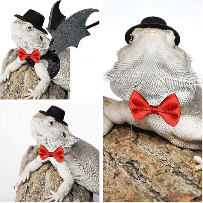 Valentine's Day Bearded Dragon Lizard Leash Harness Hat Bowtie Set - Valentine's Day Hat + Bowtie + 3 Pack Harness for Bearded Dragon Iguana Amphibians Gift Small Animal Clothes Outfit(Black Set)