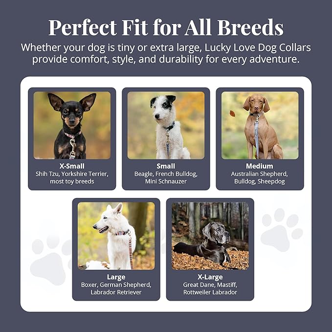 Lucky Love Dog - Adjustable Dog Collar with Easy Click Buckle for Medium Dogs, Durable, & Comfortable Collar for Male & Female Dogs, Pet Collar for Puppies & Adult Dogs - Zuzu, Medium