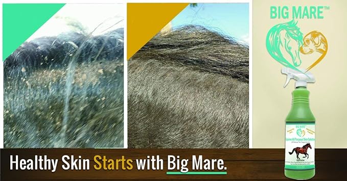 Big Mare All Purpose Horse Skin & Wound Care 32oz | First Aid: for Girth Itch, Insect & Fly Bites, Crud, Itchy Manes & Tails & Hair Loss | Vet Approved & Recommended
