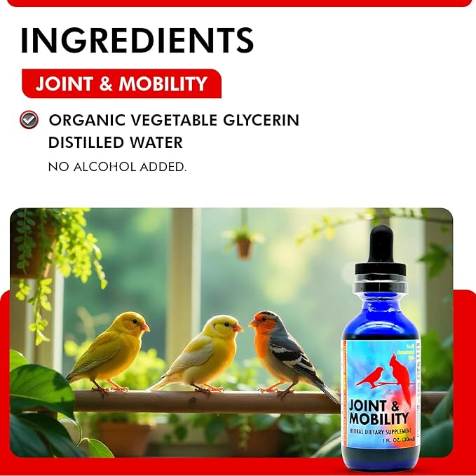Morning Bird Joint & Mobility 1 fl oz – Herbal Liquid Supplement for Birds – Supports Joint Health, Muscle Comfort & Mobility – Ideal for Aging or Recovering Birds