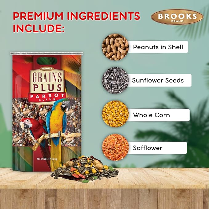Grains Plus Parrot Blend, Bird Food Parrot Seed Mix, African Grey Food, Eclectus, Indian Ringneck, Quaker