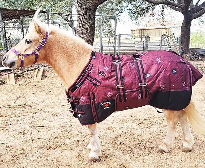 50" 1200D Miniature Weanling Donkey Pony Horse Foal Winter Blanket 51979B