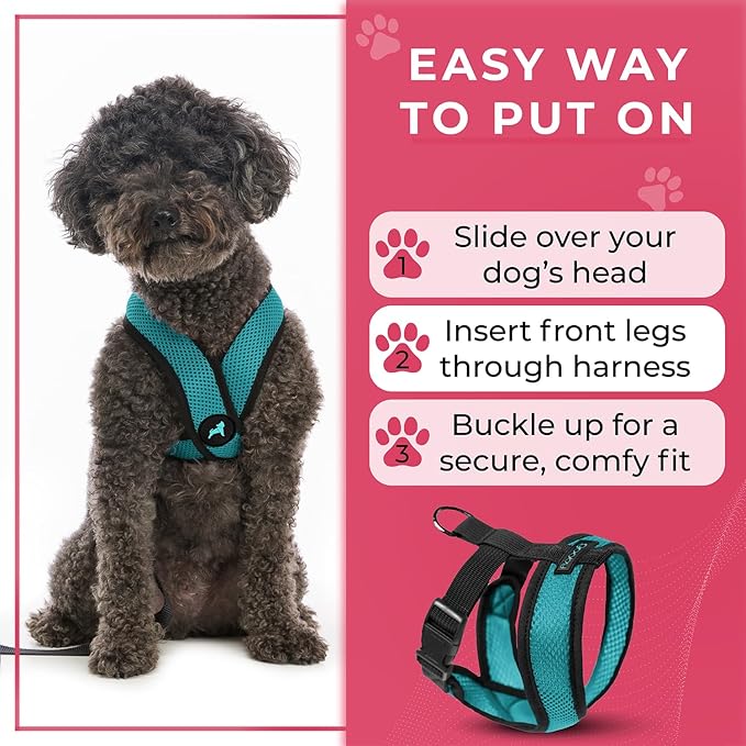 Gooby Comfort X Head in Harness - Turquoise, Small - No Pull Dog Harness with Patented Choke-Free X Frame for Small to Medium Dogs Indoor/Outdoor Use