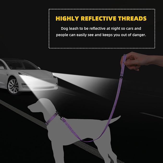 Mile High Life Night Reflective Double Adjustable Band Nylon Small Puppy Pet Dog Combo Collar Leash and Harness Set (Reflective Solid Purple, Large (Pack of 3))