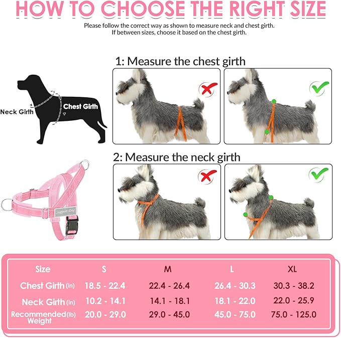 SlowTon No Pull Dog Harness - Heavy Duty Dog Harness and Leash Set for Medium Large Dogs, Reflective Tactical Harness with Soft Padded and Front Clip for Easy Walk and Training (PI, XL)