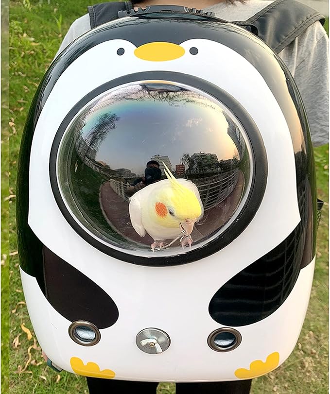 Flight Cage Lightweight Bird Carrier Acrylic Bird Travel Bag with Handle Breathable Transparent Space Capsule for Outdoor Bird Cage (Color : B)