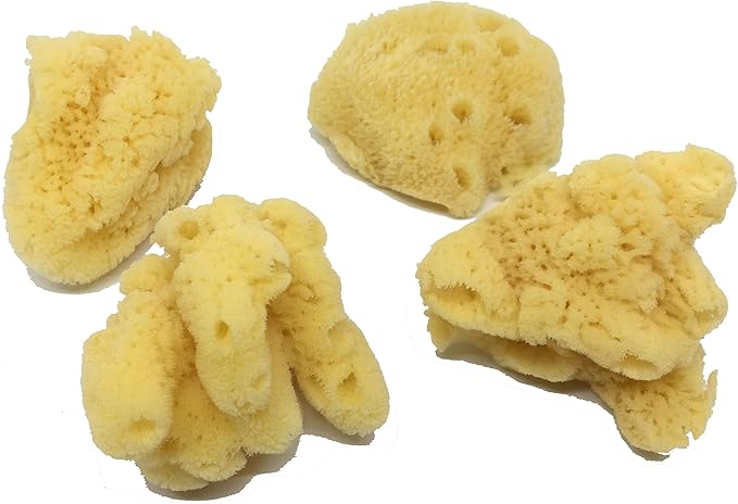 Awesome Aquatic Natural Jumbo Hermit Crab Sponges 4 Pack Natural Sea Sponge Maintains Providing Humidity Helps with Drinking Water Safety Provides Minerals and Nutrients Clean and Sterile (Jumbo 4 PK)