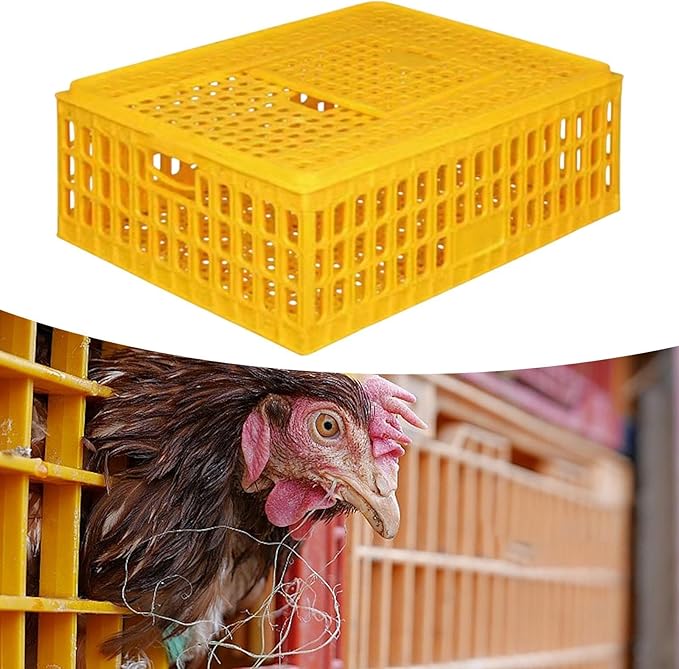 Chicken Carrier Box for Safe Transport of Hens and Pigeons, 75x55x19cm